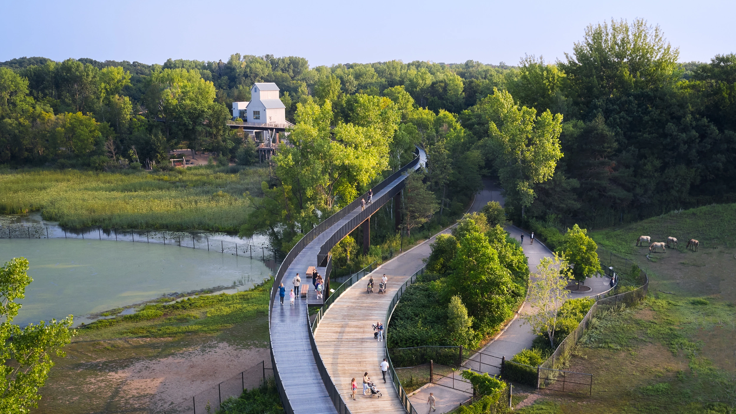 Treetop-Trail-01