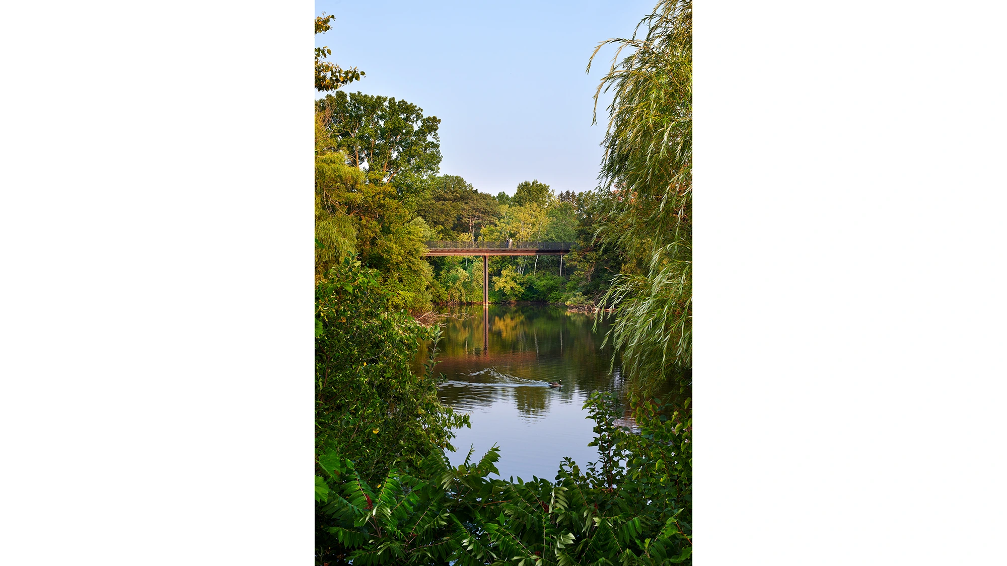 Treetop-Trail-06