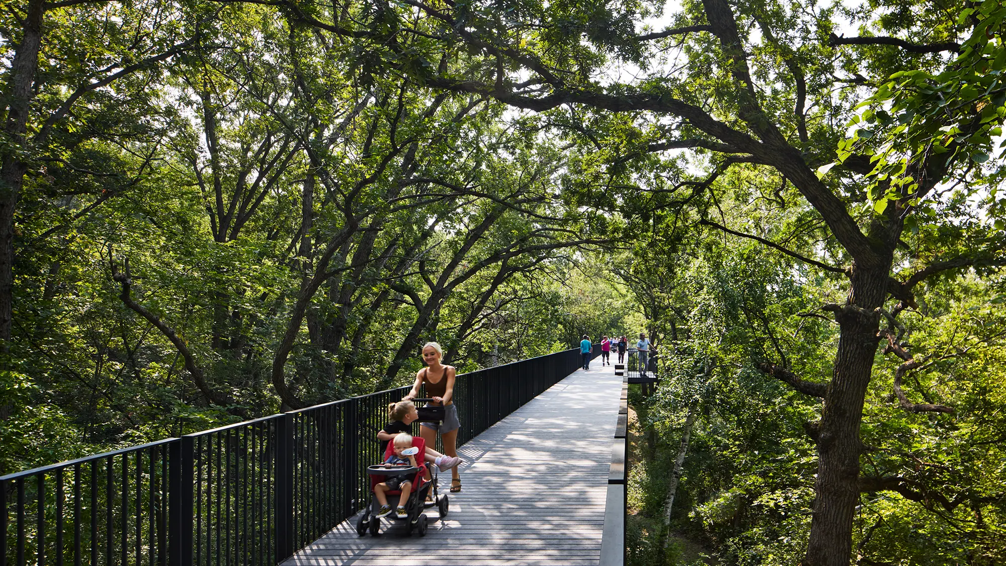 Treetop-Trail-08