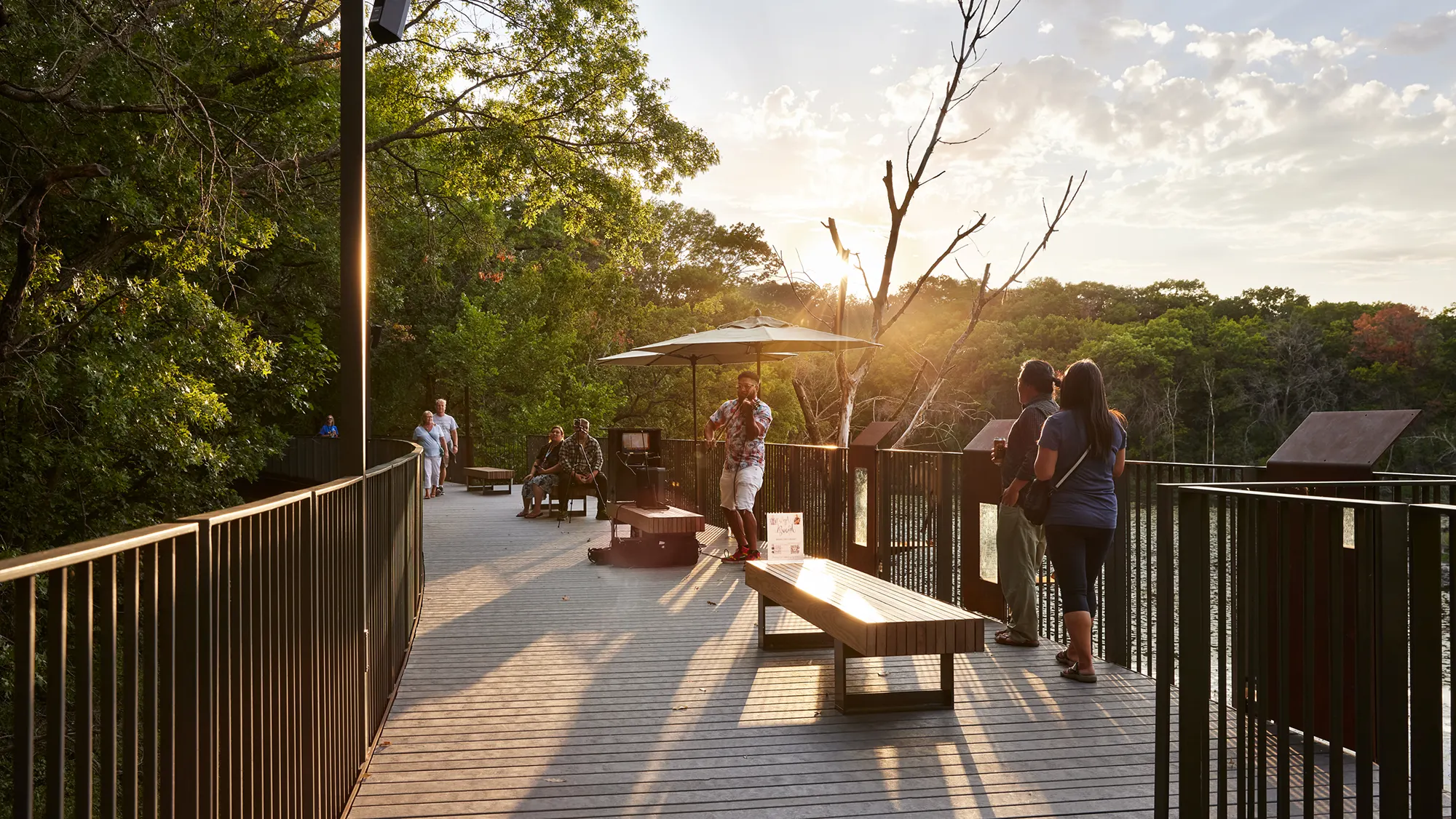 Treetop-Trail-12