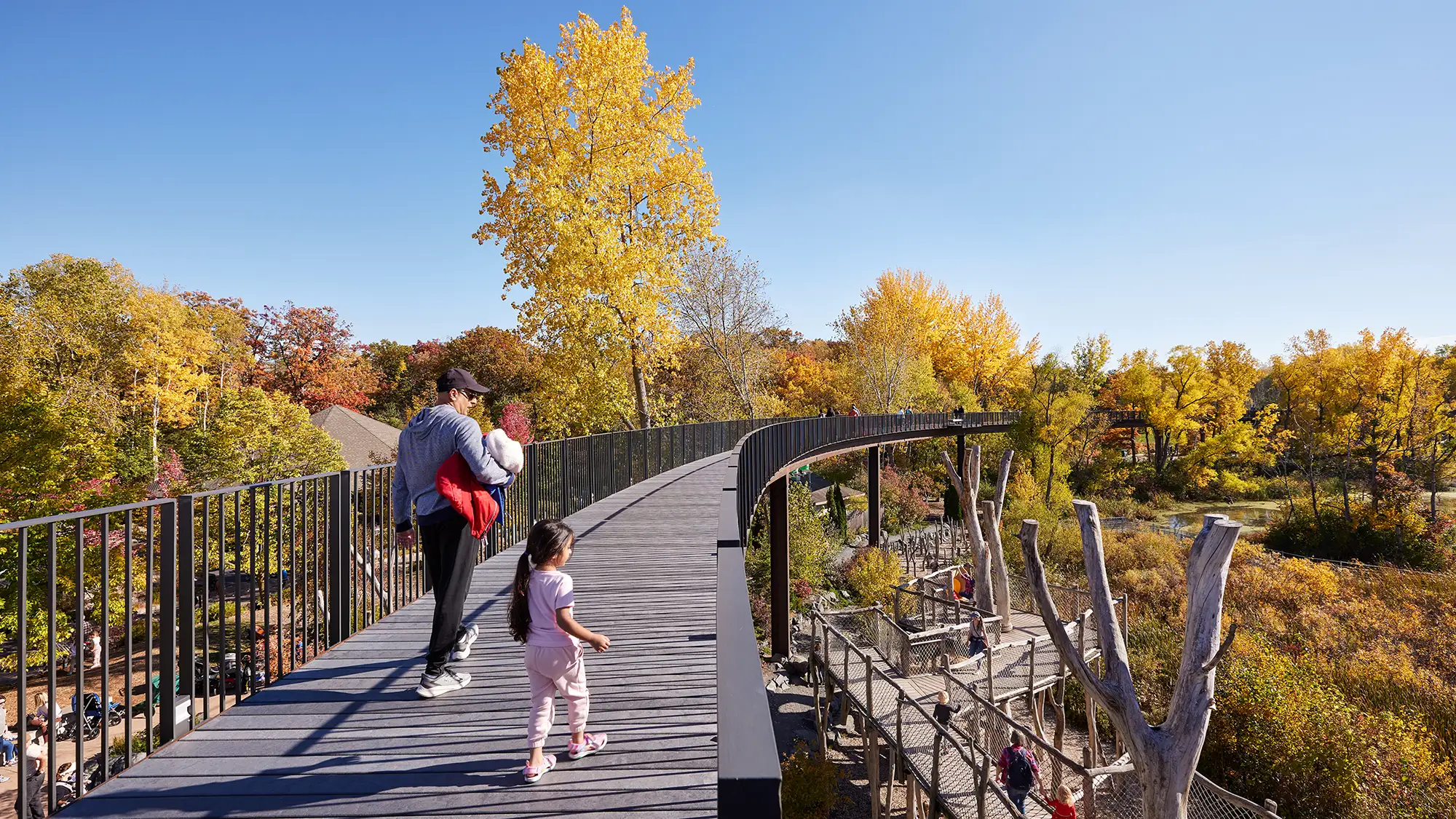 Treetop-Trail-13