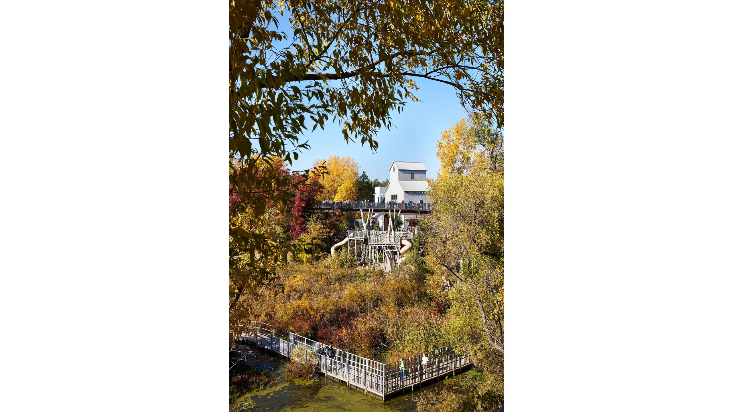 Hanifl-Nature-Center-10